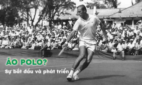 Áo polo là gì? Lịch sử và sự phát triển của áo polo